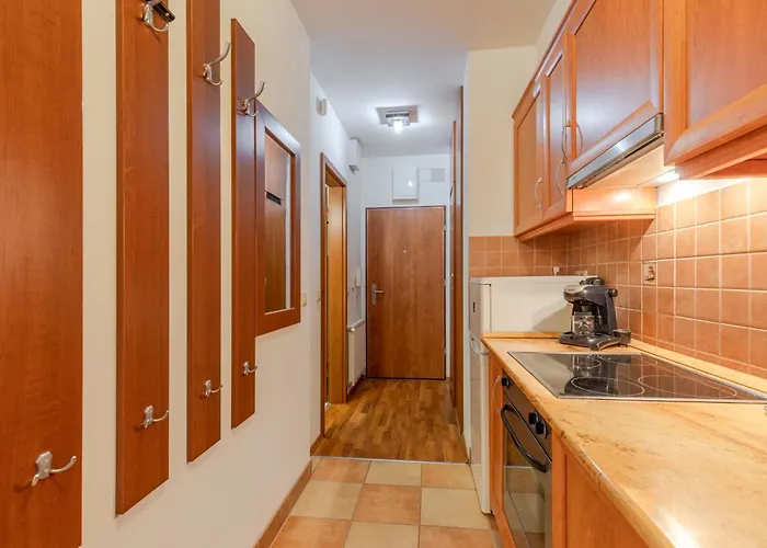 Galerius By Bltn 시오포크